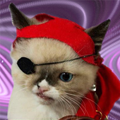 Pirate Beat [Loop Only]