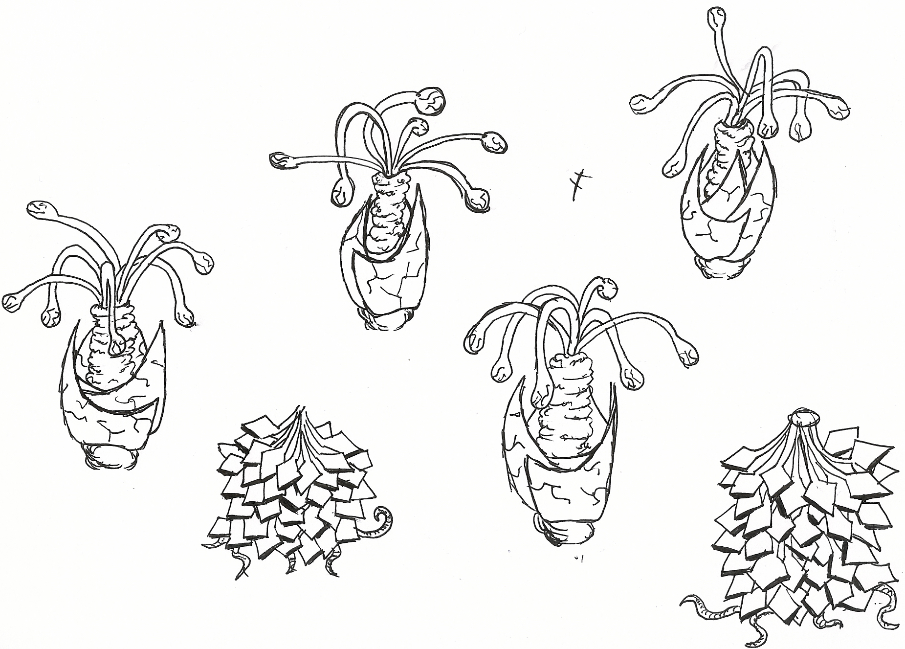 Flowers and Plant pieces.